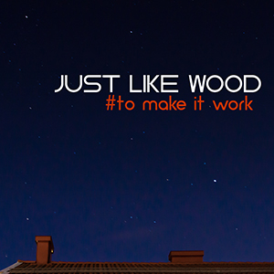 Just Like Wood - To Make It Work (EPDR02)