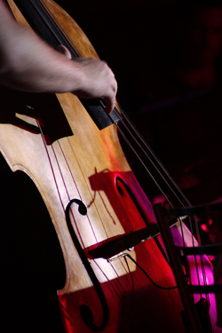 Bass. Photo: Brent Bevan.
